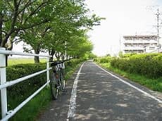 安城市