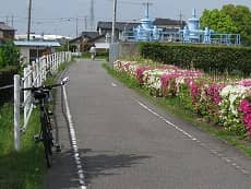 安城市