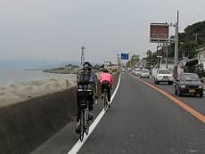 分岐
