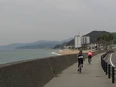 東海岸