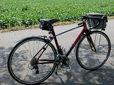 GIANT DEFY3