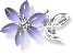 �C���[�W