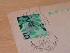 �莆
