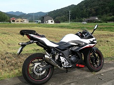 GSX250R���C�g�J�X�^��