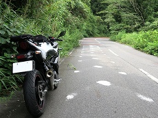 GSX250R���C�g�J�X�^��