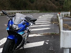 Ninja250