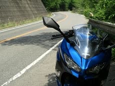 Ninja250