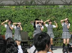 TKN24