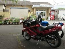 �O����w