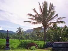 INDONESIA